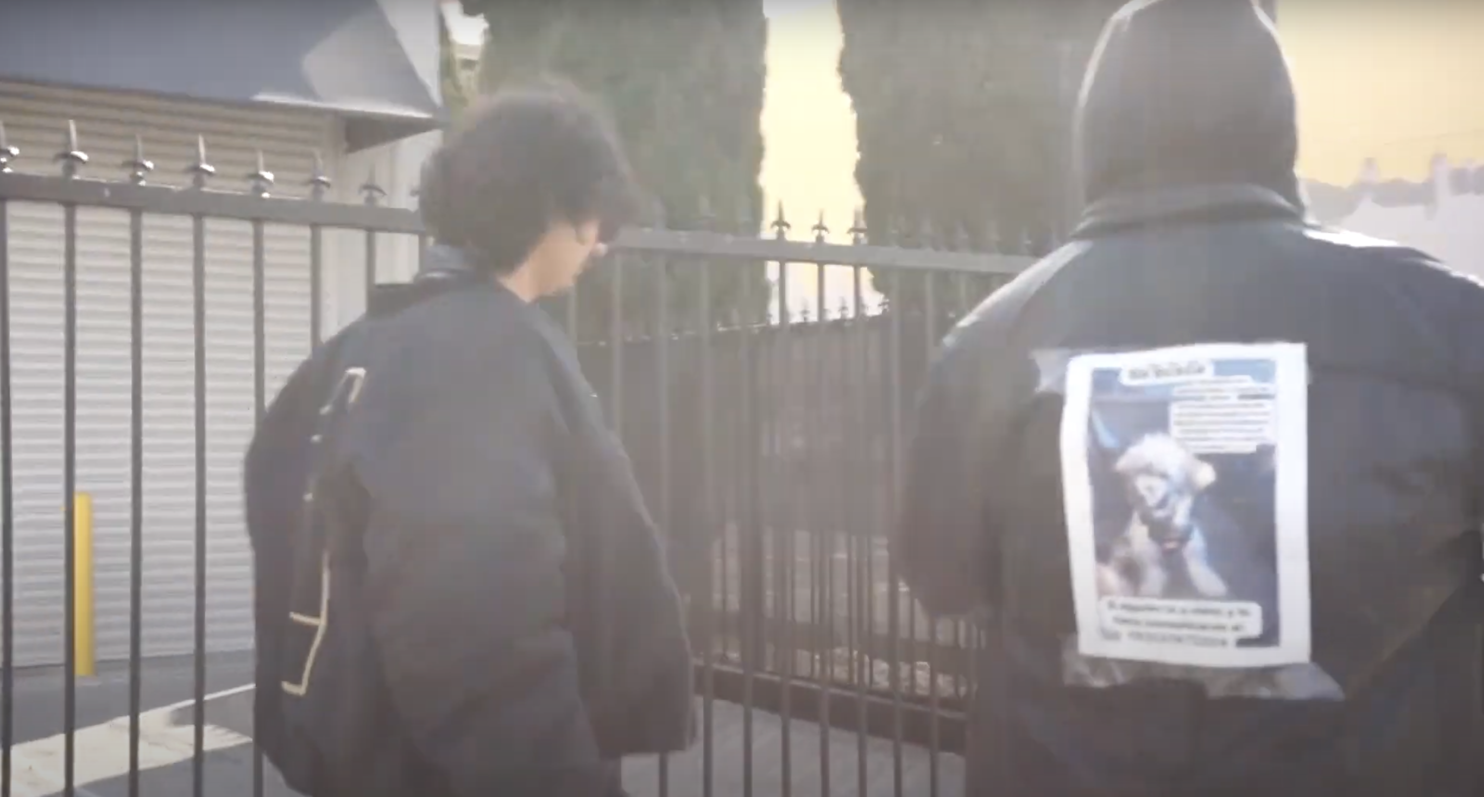 ED-EMY — Official Video